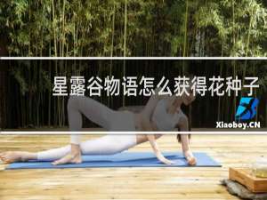星露谷物语怎么获得花种子