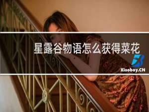 星露谷物语怎么获得菜花