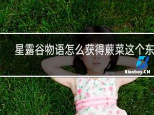 星露谷物语怎么获得蕨菜这个东西