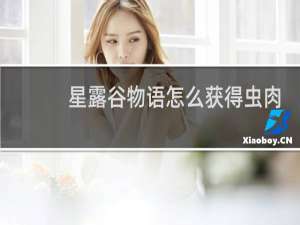 星露谷物语怎么获得虫肉