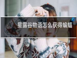 星露谷物语怎么获得蝙蝠