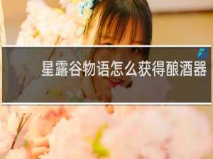 星露谷物语怎么获得酿酒器
