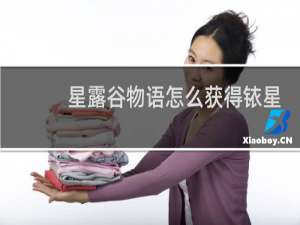 星露谷物语怎么获得铱星