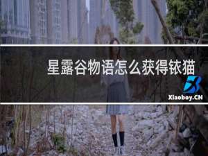 星露谷物语怎么获得铱猫