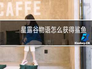 星露谷物语怎么获得鲨鱼
