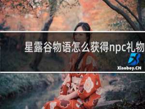 星露谷物语怎么获得npc礼物
