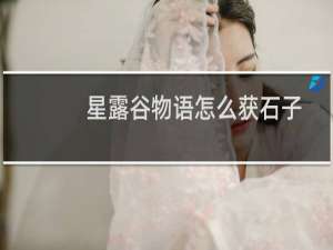 星露谷物语怎么获石子