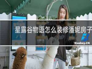 星露谷物语怎么装修潘妮房子