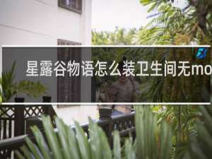 星露谷物语怎么装卫生间无mod