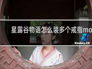 星露谷物语怎么装多个戒指mod