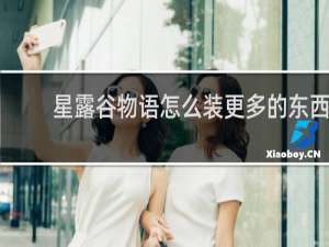 星露谷物语怎么装更多的东西