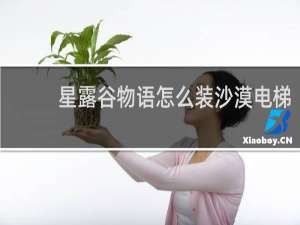 星露谷物语怎么装沙漠电梯