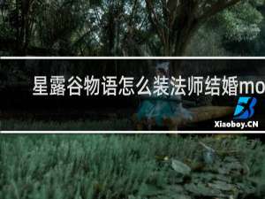 星露谷物语怎么装法师结婚mod