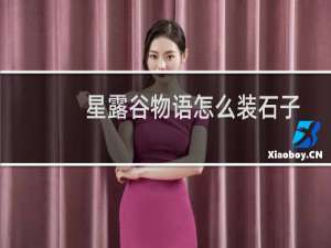 星露谷物语怎么装石子