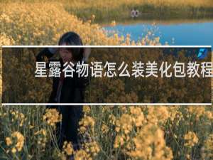 星露谷物语怎么装美化包教程