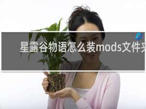星露谷物语怎么装mods文件夹