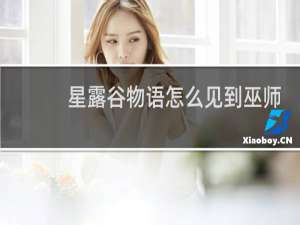 星露谷物语怎么见到巫师