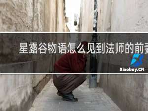 星露谷物语怎么见到法师的前妻