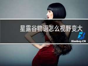 星露谷物语怎么视野变大