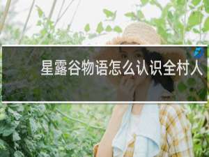 星露谷物语怎么认识全村人