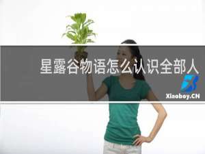 星露谷物语怎么认识全部人