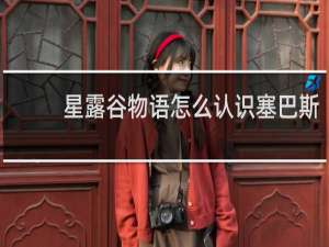 星露谷物语怎么认识塞巴斯