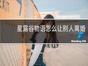 星露谷物语怎么让别人离婚