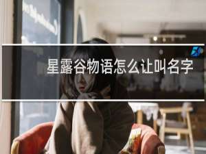 星露谷物语怎么让叫名字