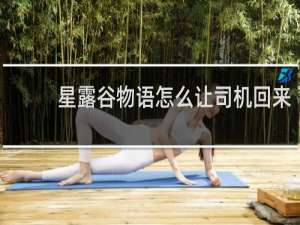 星露谷物语怎么让司机回来