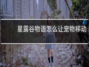 星露谷物语怎么让宠物移动