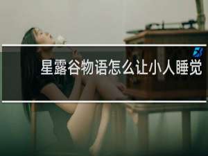 星露谷物语怎么让小人睡觉