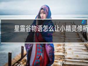 星露谷物语怎么让小精灵修桥