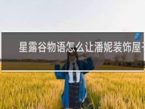 星露谷物语怎么让潘妮装饰屋子