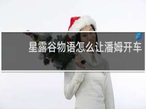 星露谷物语怎么让潘姆开车