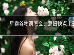 星露谷物语怎么让潘姆快点上班