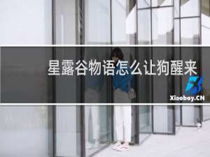 星露谷物语怎么让狗醒来