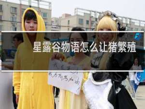 星露谷物语怎么让猪繁殖