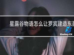 星露谷物语怎么让罗宾建造东西