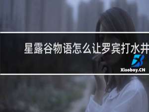 星露谷物语怎么让罗宾打水井