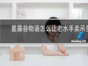 星露谷物语怎么让老水手卖吊坠