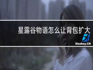 星露谷物语怎么让背包扩大