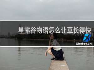 星露谷物语怎么让草长得快