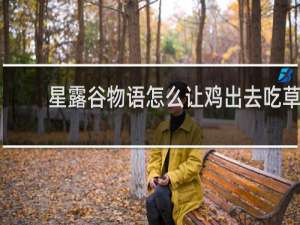 星露谷物语怎么让鸡出去吃草