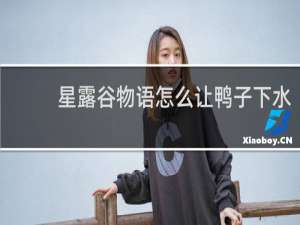 星露谷物语怎么让鸭子下水