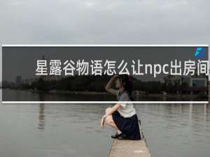 星露谷物语怎么让npc出房间