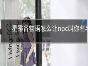 星露谷物语怎么让npc叫你名字