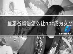 星露谷物语怎么让npc成为女朋友