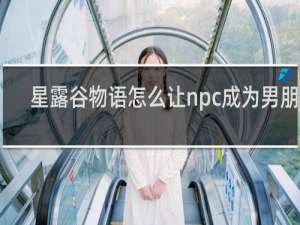 星露谷物语怎么让npc成为男朋友