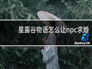 星露谷物语怎么让npc求婚