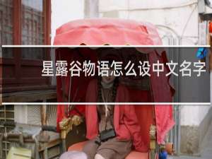 星露谷物语怎么设中文名字